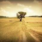 3975223464_fc1e802164