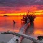 4140148463_f8a391546e