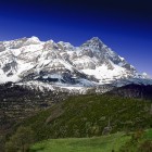 468603598_856f20d47d_z