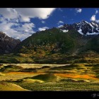 5129008236_49c4cbf6b5_o